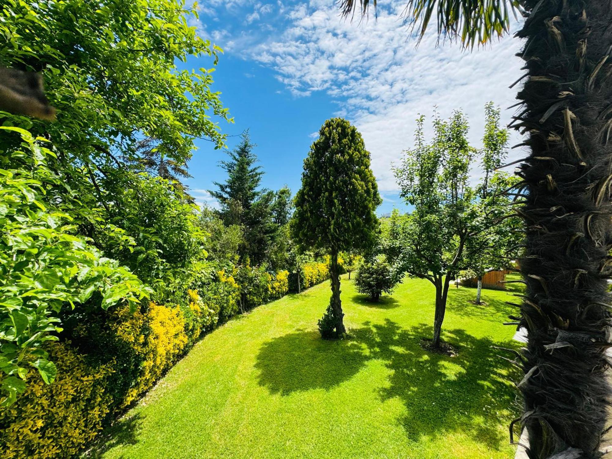 Treekos Suite Hotel Arnavutkoy エクステリア 写真